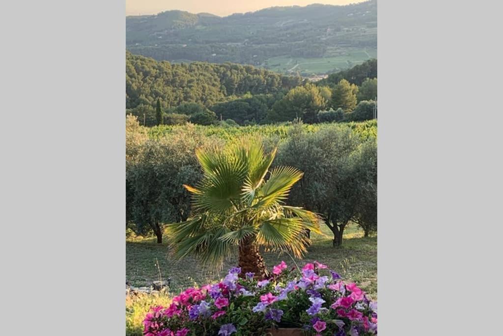 La Venturonne Appartement Neuf Rez De Jardin 45 M2 Vue Mer Et Vignes 10 Mn Des Plages ル・ボーセ エクステリア 写真