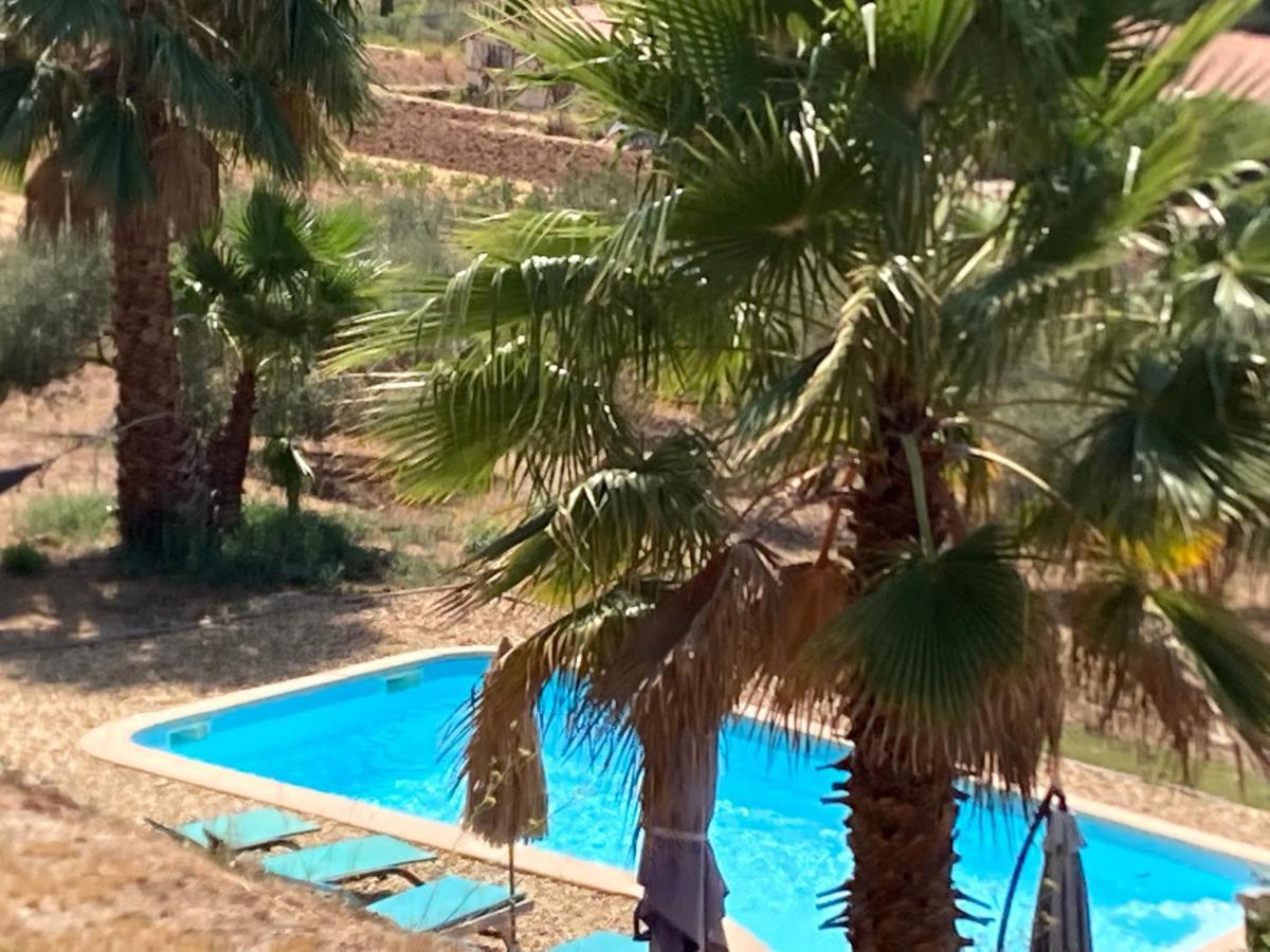 La Venturonne Appartement Neuf Rez De Jardin 45 M2 Vue Mer Et Vignes 10 Mn Des Plages ル・ボーセ エクステリア 写真